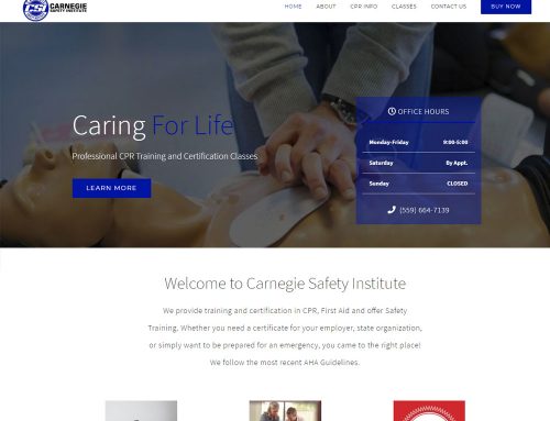 Carnegie Safety Institute